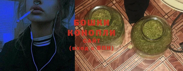 шишки Белоозёрский